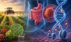 50 Yaş Altı Kolorektal Kanserlerde Tarım İlacı İzleri Dikkat Çekti