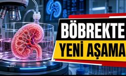 Laboratuvarda Böbreğe Giden Yolda Kritik Eşik Aşıldı