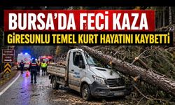 Bursa Uludağ Yolunda Feci Kaza: Giresunlu Temel Kurt Hayatını Kaybetti