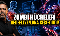 Zombi Hücreleri Hedefleyebilecek DNA Molekülleri Keşfedildi