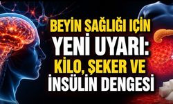 Obezite ve İnsülin Direnci Beyin Yaşlanmasını Hızlandırabilir