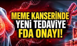HER2 Pozitif Meme Kanserinde Yeni Tedavi Onayı