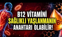 B12 Vitamini Sağlıklı Yaşlanmanın Gizli Anahtarı Olabilir