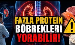 Fazla Protein Böbrekleri Yorabilir: Uzmanlardan Dikkat Çeken Uyarı