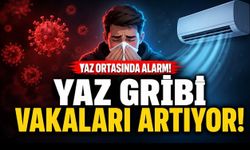 Yaz Ortasında “Yaz Gribi” Alarmı: Klima mı Hasta Ediyor, Virüs mü?
