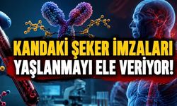 Kandaki “Şeker İmzaları” Yaşlanmayı Ele Verebilir: Yeni Çalışma Ne Anlama Geliyor?