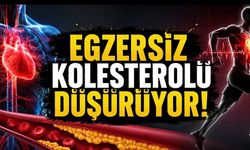 Egzersiz Kolesterolü Düşürür mü? Uzmanlardan Kalp Sağlığı İçin Kritik Uyarı