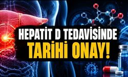 Hepatit D Tedavisinde Tarihi Onay: İlk FDA Onaylı İlaç Geldi