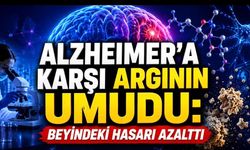 Alzheimer’a Karşı Umut Veren Keşif: Ucuz Bir Amino Asit Beyindeki Hasarı Azalttı