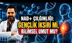 NAD+ Takviyeleri Gerçekten Yaşlanmayı Yavaşlatıyor mu?