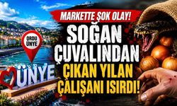 Markette Soğan Çuvalından Çıkan Yılan Çalışanı Isırdı