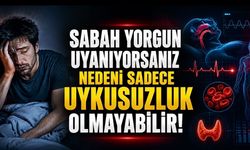 Sabah Yorgun Uyananlar Dikkat: Sorun Sadece Uykusuzluk Olmayabilir