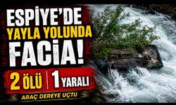 Espiye’de Yayla Yolunda Facia: Sefer Akgün ve Nazmiye Akgün Hayatını Kaybetti