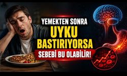 Yemekten Sonra Uyku Bastırıyorsa Sebebi Bu Olabilir