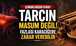 Tarçın Masum Bir Baharat mı? Uzmanlardan Takviye Uyarısı