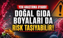 Doğal Gıda Boyaları da Masum Çıkmadı: Diyabet ve Kanser Riski Tartışması Büyüyor