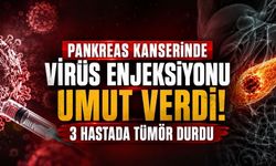 Pankreas Kanserinde Virüs Enjeksiyonu Umudu: Üç Hastada Tümör İlerlemesi Durdu