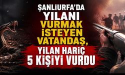 Şanlıurfa’da yılanı av tüfeğiyle vurmak isteyen vatandaş, yılan hariç 5 kişiyi vurdu