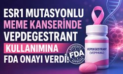 Meme Kanserinde Yeni FDA Onayı: ESR1 Mutasyonunda Vepdegestrant Dönemi Başladı