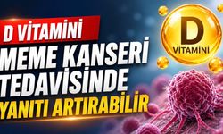 D Vitamini Seviyesi Meme Kanseri Tedavisinde Kritik Olabilir