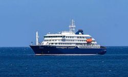 Three Dead After Suspected Hantavirus Outbreak on Atlantic Cruise Ship