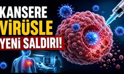 Kansere Karşı Virüs Hamlesi: Herpes Temelli Tedavi Melanomda Dikkat Çeken Sonuç Verdi