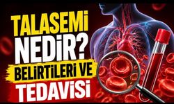 Talasemi (Akdeniz Anemisi) Nedir, Nasıl Anlaşılır? Belirtiler ve Tedavi Yolları