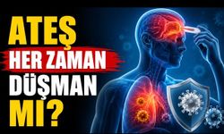 Ateş Her Zaman Düşman mı? Bilim İnsanları Pandemi Sonrası Bakışı Tartıştı