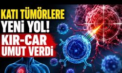 Katı Tümör Sorununa Yeni Yol: KIR-CAR Tedavisi İlk İnsan Verilerinde Dikkat Çekti