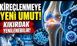 Osteoartritte Yeni Dönem: Kıkırdak Yenilenmesi İçin Rejeneratif Tedaviler Hız Kazandı