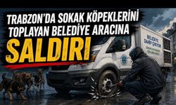 Trabzon’da sokak köpeklerini toplayan belediye aracına saldırı