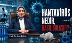 Hantavirüs nedir, nasıl bulaşır? Prof. Dr. Ayşe Batırel’den kritik uyarılar