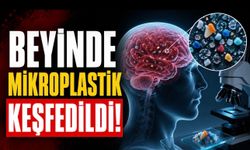 Beyinde mikroplastik izleri: Nature Health çalışmasında dikkat çeken bulgu