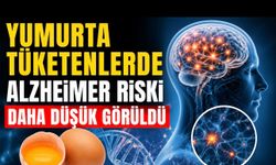 Yeni Araştırma: Yumurta Tüketenlerde Alzheimer Riski Daha Düşük Görüldü