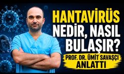 Hantavirüs nedir, nasıl bulaşır, tedavisi var mı?