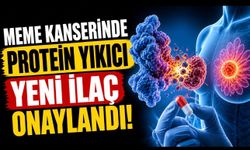 Meme Kanserinde Yeni Dönem: “Protein Yıkıcı” İlaç Onayı Geldi