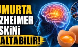 Yeni Araştırma: Yumurta Tüketenlerde Alzheimer Riski Daha Düşük