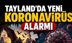 Tayland’da Yarasalarda Yeni Koronavirüs Tespit Edildi: Uzmanlardan “Panik Yok, Takip Şart” Uyarısı