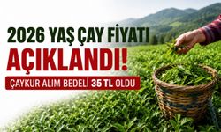 2026 Yaş Çay Fiyatı Açıklandı: Destekleme Bedeli 35 TL Oldu