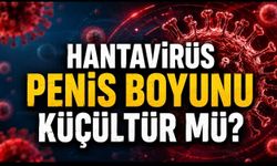 Hantavirüs Penis Boyunu Küçültür mü? Sosyal Medyadaki İddia Ne Kadar Doğru?