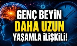 Beynin Biyolojik Yaşı Ölüm Riskini Ele Verebilir
