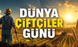 14 Mayıs Dünya Çiftçiler Günü Mesajları 2026: Anlamlı, Kısa ve Paylaşılabilir Sözler