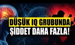 Araştırma: Düşük IQ Grubunda Şiddet Daha Fazla