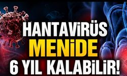 Hantavirüs İçin Yeni Uyarı: Virüs Menide Yıllarca Kalabilir