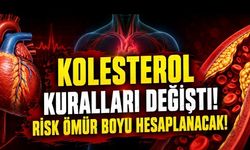 Dünyada Kolesterol Kılavuzu Değişiyor: Risk Artık Sadece Bugüne Göre Değil, Ömür Boyu Hesaplanacak