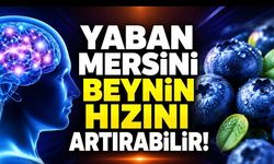 Beynin İşlem Hızını Destekleyen Meyve: Yaban Mersini
