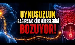 Uykusuzluk Bağırsakları da Vuruyor: Yeni Araştırma Şaşırtan Mekanizmayı Ortaya Koydu