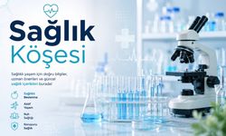 Meyve çekirdeği yutmak zararlı mı? Kiraz, erik, kayısı ve şeftali çekirdeğinde dikkat edilmesi gerekenler
