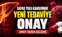 Safra Yolu Kanserinde Yeni Hedefli Tedavi Onayı
