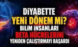 Diyabette Yeni Dönem mi? Bilim İnsanları Beta Hücrelerini Yeniden Çalıştırmayı Başardı